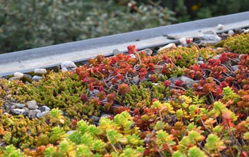 the cost of Highway green roof installation